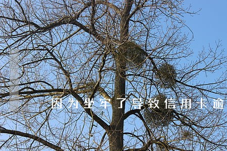 因为坐牢了导致信用卡逾期
