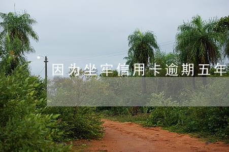 因为坐牢信用卡逾期五年怎么办