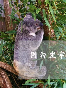 因为坐牢信用卡逾期会怎么样