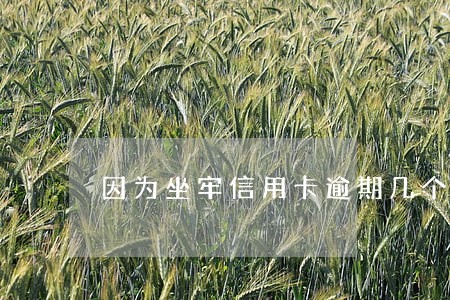 因为坐牢信用卡逾期几个月