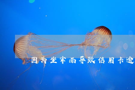 因为坐牢而导致信用卡逾期 因为坐牢而导致信用卡逾期