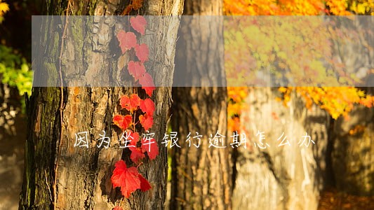 因为坐牢银行逾期怎么办 因为坐牢银行逾期怎么办
