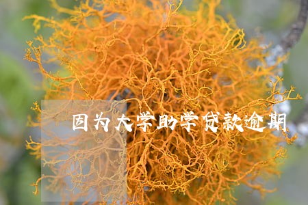 因为大学助学贷款逾期 因为大学助学贷款逾期
