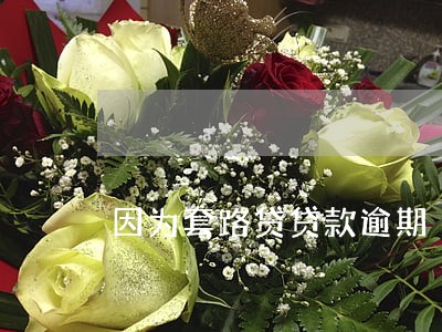 因为套路贷贷款逾期 因为套路贷贷款逾期