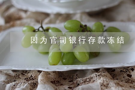 因为官司银行存款冻结 因为官司银行存款冻结
