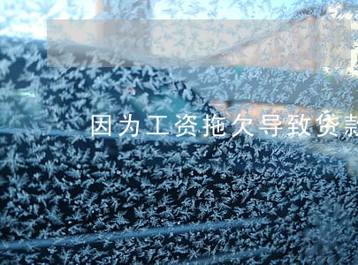 因为工资拖欠导致贷款逾期 因为工资拖欠导致贷款逾期