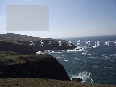 因为年费造成的信用卡逾期 因为年费造成的信用卡逾期