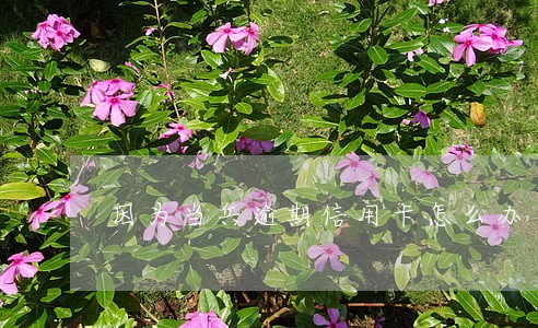 因为当兵逾期信用卡怎么办