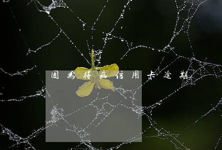 因为得病信用卡逾期 因为得病信用卡逾期