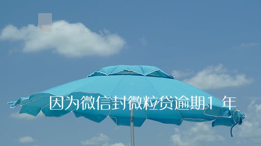 因为微信封微粒贷逾期1年 因为微信封微粒贷逾期1年