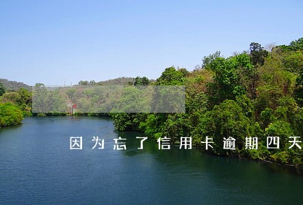 因为忘了信用卡逾期四天