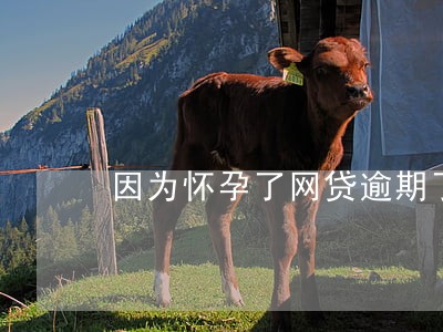 因为怀孕了网贷逾期了怎么办