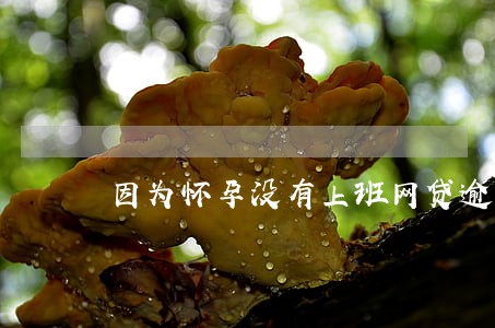 因为怀孕没有上班网贷逾期