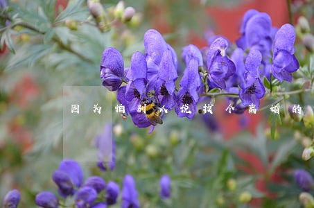 因为怕别人说找个离婚的而分手 因为怕别人说找个离婚的而分手