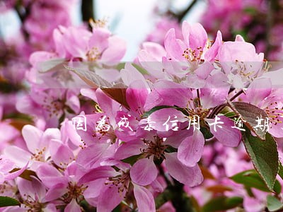 因为戒毒信用卡逾期了 因为戒毒信用卡逾期了