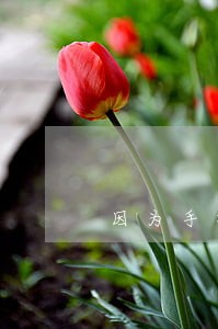 因为手机停机造成信用卡逾期 因为手机停机造成信用卡逾期