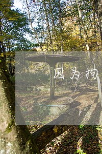 因为拘留信用卡逾期怎么处理