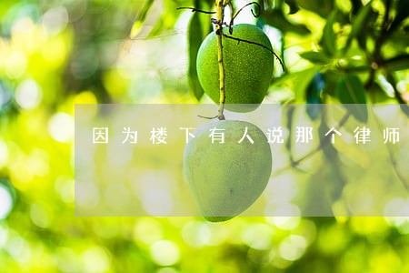 因为楼下有人说那个律师好帅 因为楼下有人说那个律师好帅