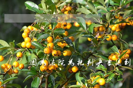 因为法院为把判决书送到