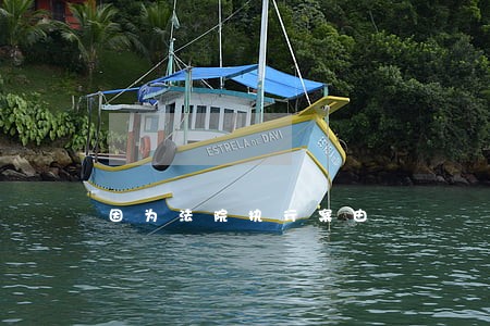 因为法院执行案由 因为法院执行案由
