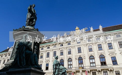 因为灾难造成信用卡逾期 因为灾难造成信用卡逾期