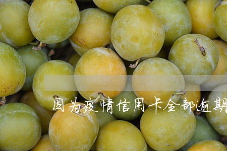因为疫情信用卡全部逾期了