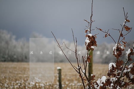 因为疫情信用卡逾期一年了 因为疫情信用卡逾期一年了