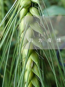 因为疫情信用卡逾期人数 因为疫情信用卡逾期人数
