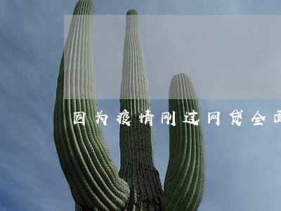 因为疫情刚过网贷全面逾期 因为疫情刚过网贷全面逾期
