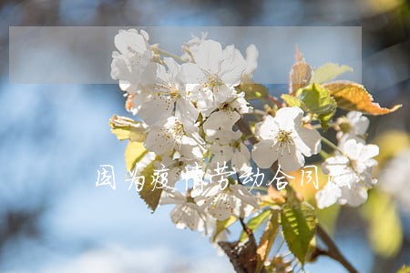 因为疫情劳动合同法 因为疫情劳动合同法