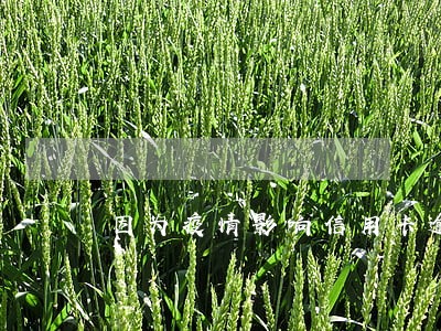 因为疫情影响信用卡逾期了 因为疫情影响信用卡逾期了