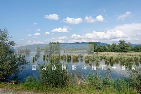 因为疫情影响信用卡逾期怎么办 因为疫情影响信用卡逾期怎么办