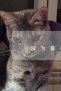 因为疫情无法归还信用卡逾期 因为疫情无法归还信用卡逾期