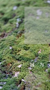 因为疫情而逾期信用报告怎么删除