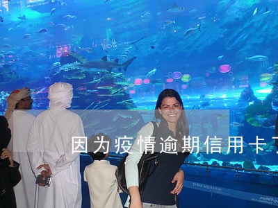 因为疫情逾期信用卡了怎么办