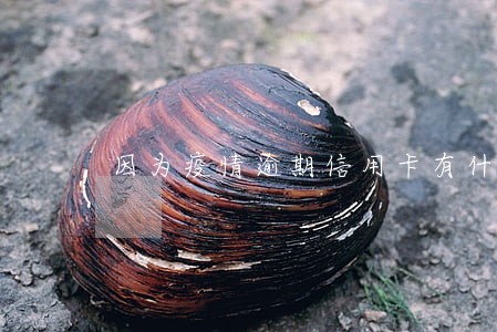 因为疫情逾期信用卡有什么影响 因为疫情逾期信用卡有什么影响