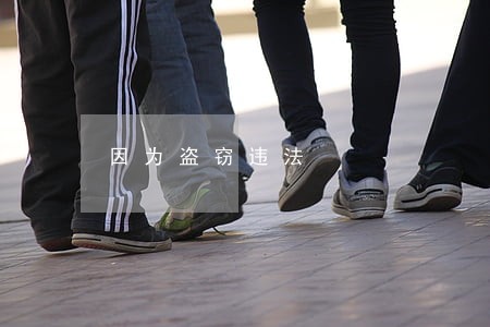 因为盗窃违法 因为盗窃违法
