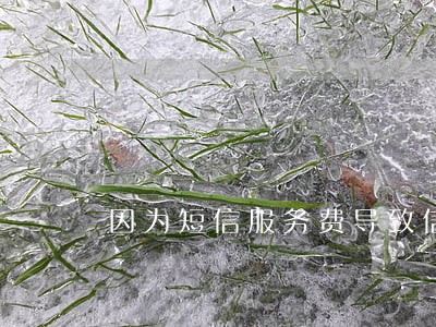 因为短信服务费导致信用卡逾期