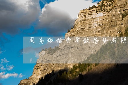 因为短信费导致房贷逾期1天 因为短信费导致房贷逾期1天