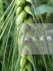 因为离婚所以信用卡有逾期 因为离婚所以信用卡有逾期