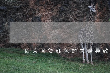 因为网贷红色的失误导致逾期 因为网贷红色的失误导致逾期