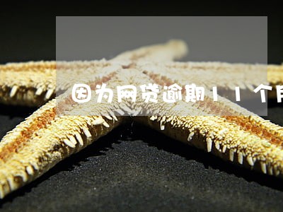 因为网贷逾期11个月怎么办 因为网贷逾期11个月怎么办