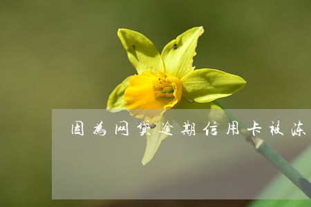 因为网贷逾期信用卡被冻结了 因为网贷逾期信用卡被冻结了