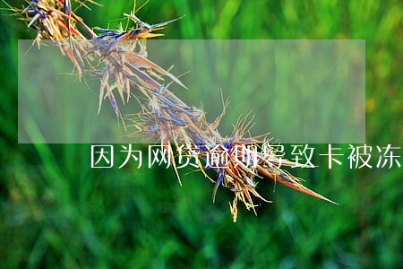 因为网贷逾期导致卡被冻结