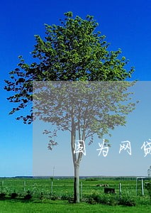 因为网贷逾期被开除 因为网贷逾期被开除