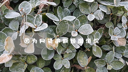 因为网贷逾期颓废消沉 因为网贷逾期颓废消沉
