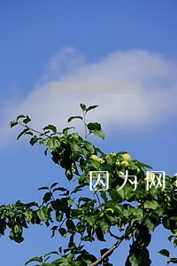 因为网贷逾期黑名单 因为网贷逾期黑名单