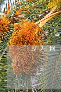 因为网赌网贷信用卡全部逾期 因为网赌网贷信用卡全部逾期