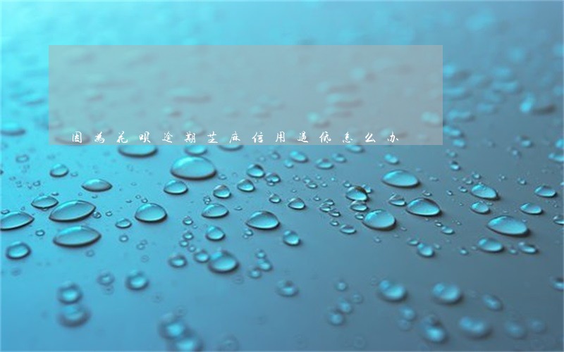 因为花呗逾期芝麻信用过低怎么办