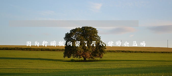 因为行贿被拘留了可以律师会见吗 因为行贿被拘留了可以律师会见吗